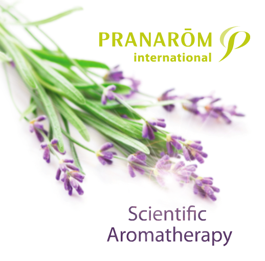 pranarom eterična ulja, aromaforce, shea maslac, bio kozmetika
