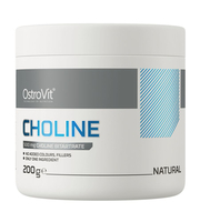 kolin u prahu - ostrovit choline