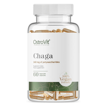 chaga kapsule ostrovit chaga kapsule ostrovit