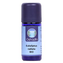 eukaliptus radiata eterično ulje oshadhi