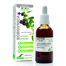 borovnica list - prirodni lijek za dijabetes borovnica list - prirodni lijek za dijabetes