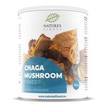 chaga ljekovita gljiva bogata beta glukanom chaga ljekovita gljiva bogata beta glukanom