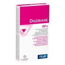 Digebiane PiLeJe - pomoć kod GERB-a i gastritisa