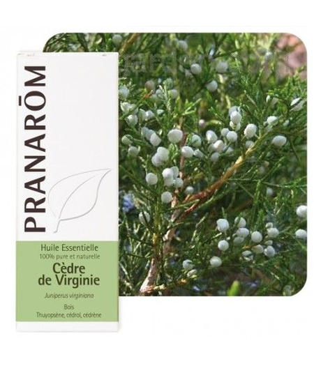 cedar virđinijski eterično ulje pranarom