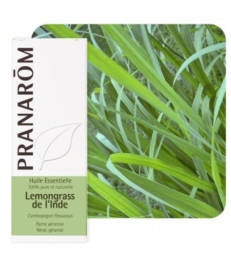citronela indijska pranarom