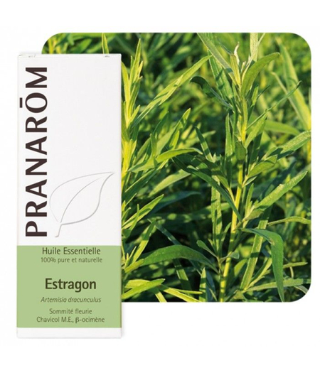estragon metil kavikol eterično ulje pranarom