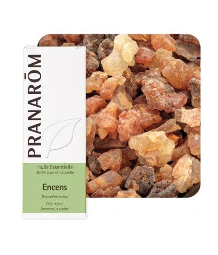 tamjan - eterično ulje tamjanovca pranarom