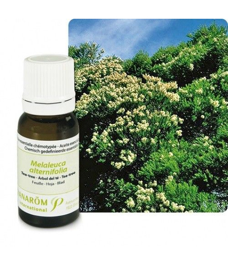 čajevac tea tree oil pranarom