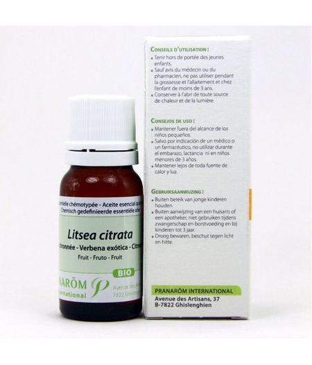 litsea